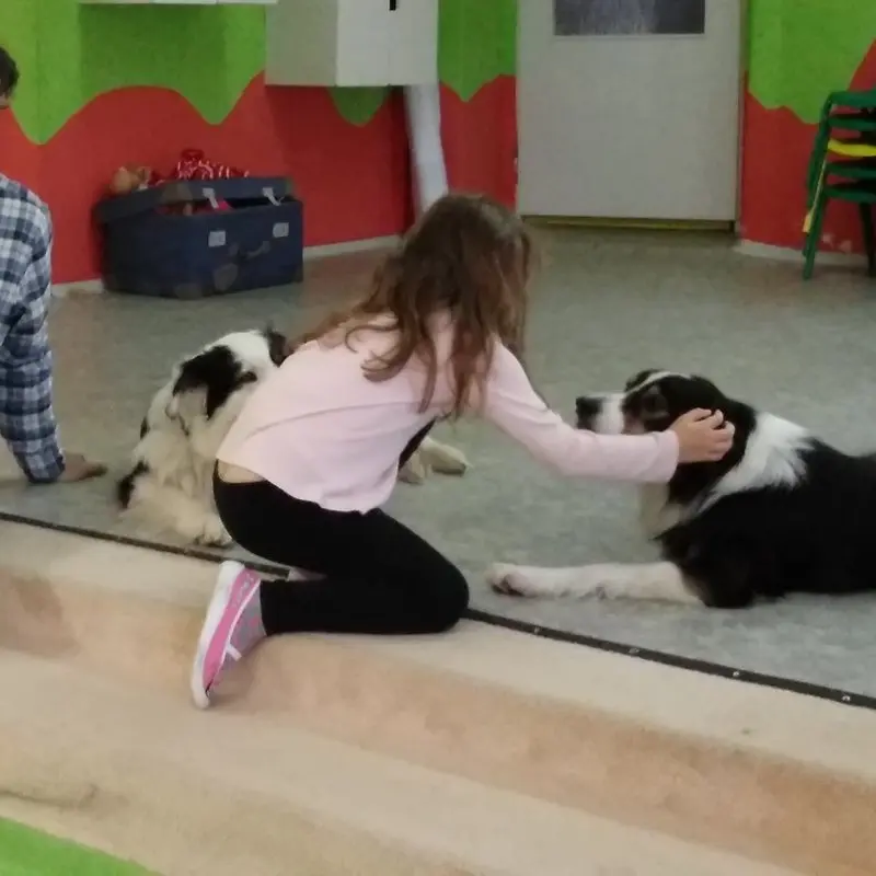 Co je to CANISTERAPIE?