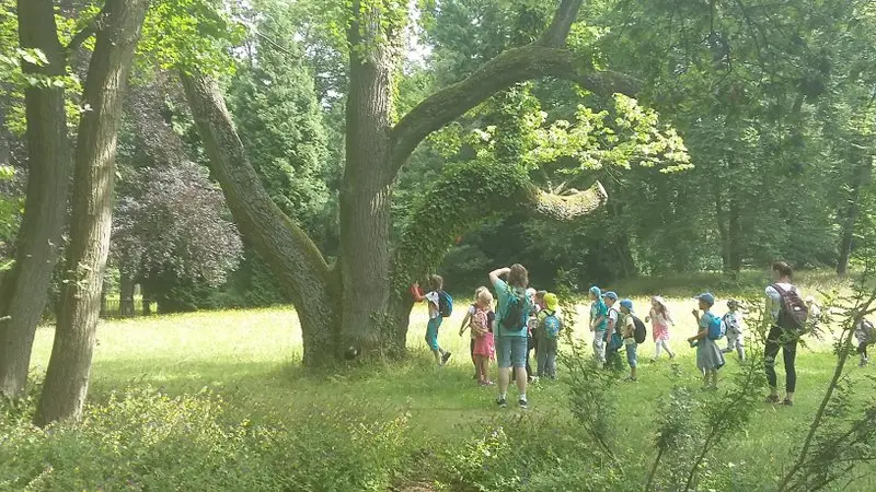 Za pokladem rytířů kulatého stolu