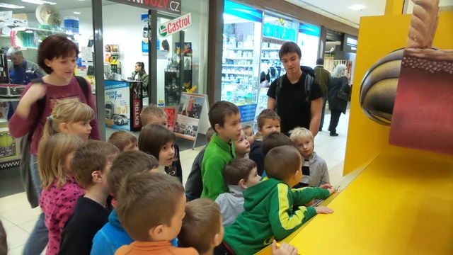 Na výstavě o včelách