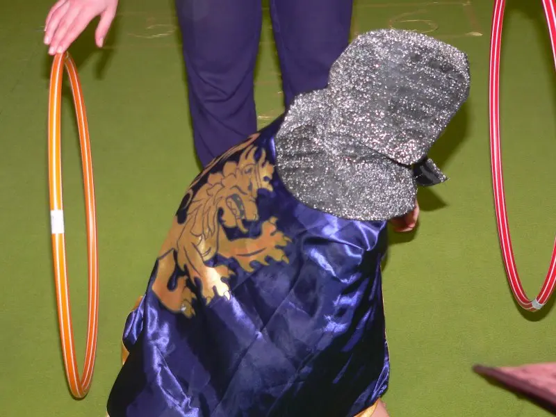 Karneval ve školce