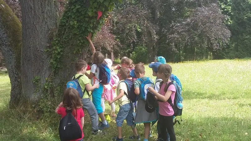 Za pokladem rytířů kulatého stolu