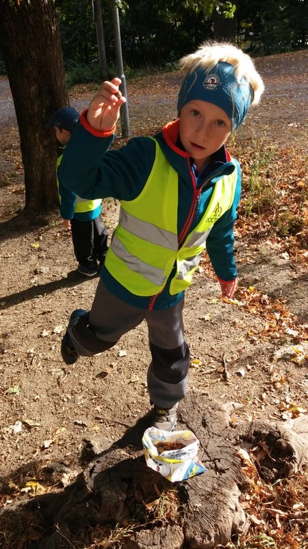 Jdeme na žaludy