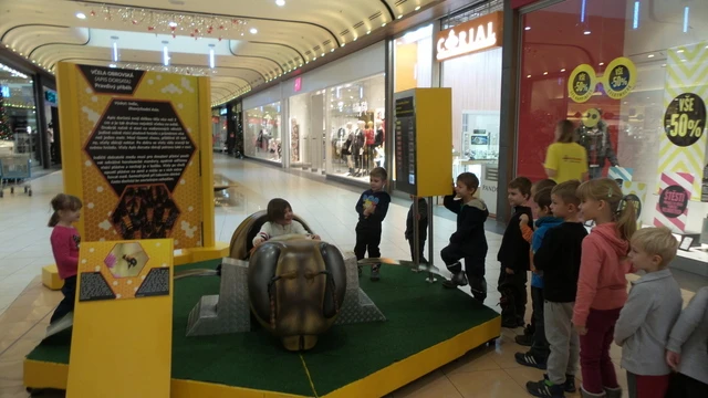 Na výstavě o včelách