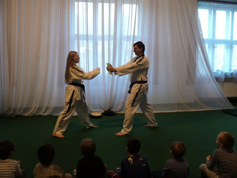 Ukázky taekwonda