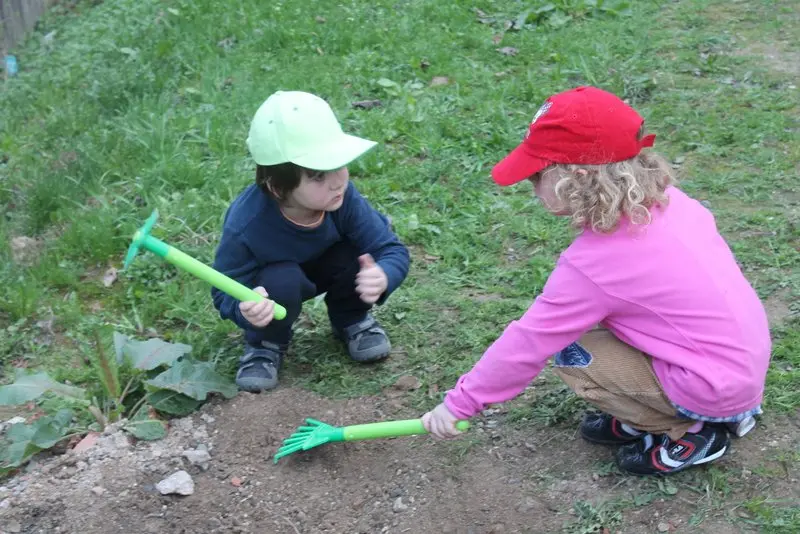 Den Země a pěstování brambory