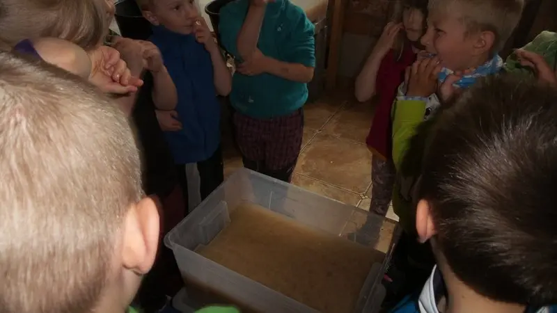 Projekt Řemesla - papír - Včelky
