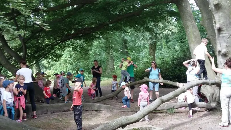 Za pokladem rytířů kulatého stolu