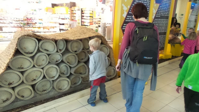 Na výstavě o včelách