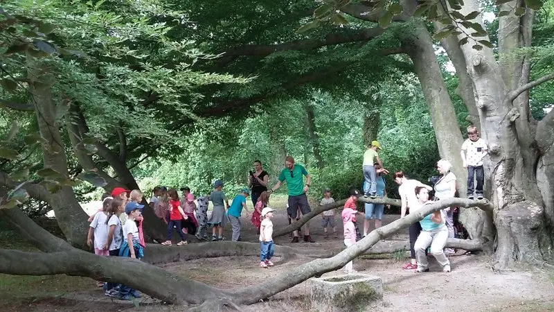 Za pokladem rytířů kulatého stolu