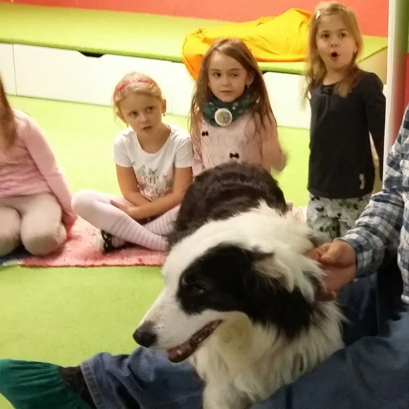 Co je to CANISTERAPIE?