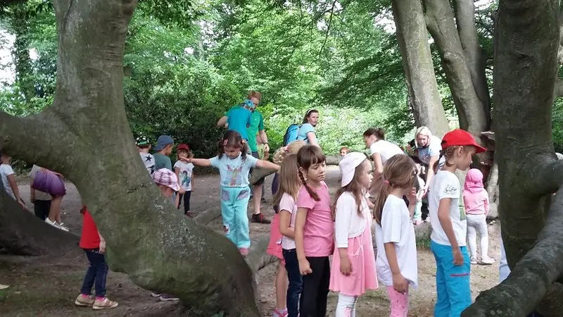 Za pokladem rytířů kulatého stolu