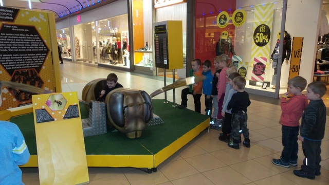 Na výstavě o včelách