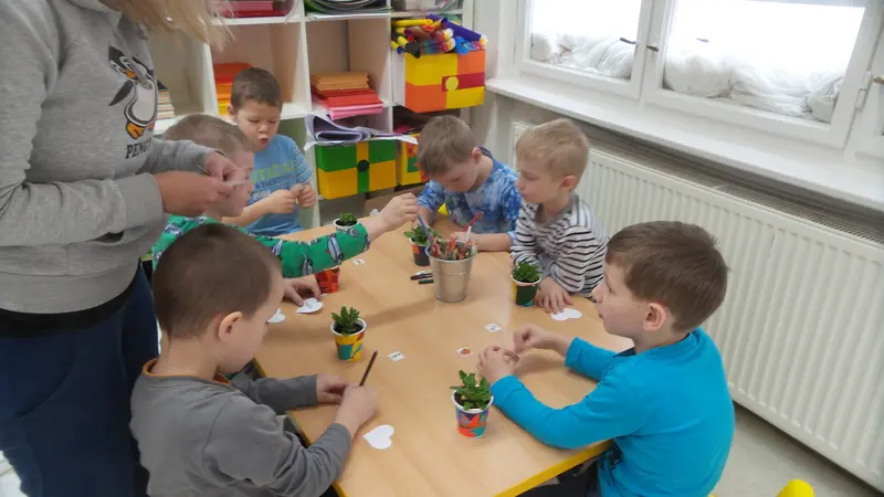 Sázíme sedmikrásky