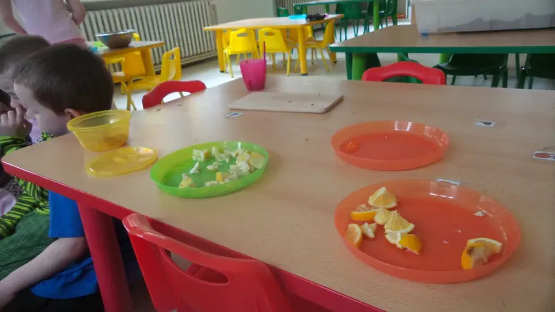 Naše smysly - chuť, zrak atd.