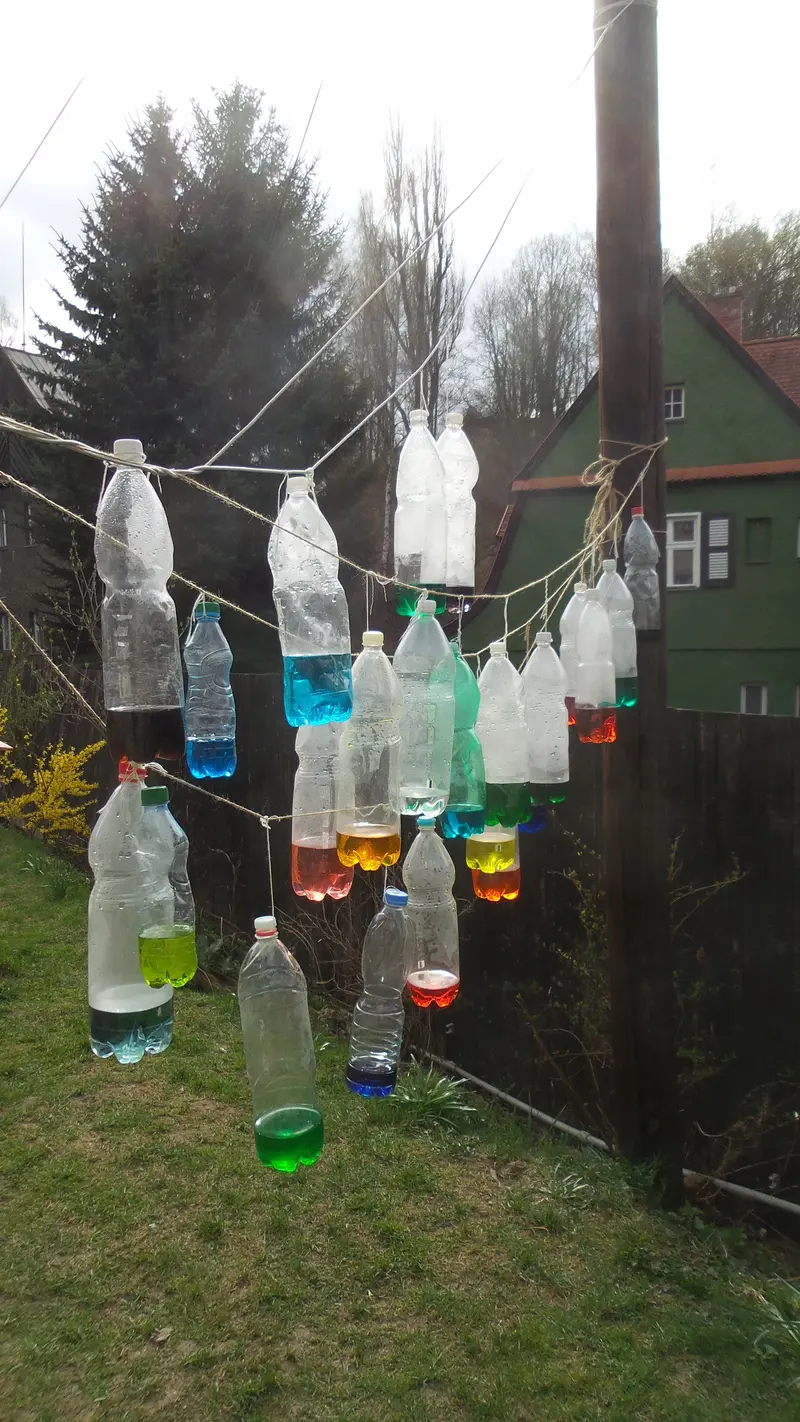 Naše smysly - chuť, zrak atd.