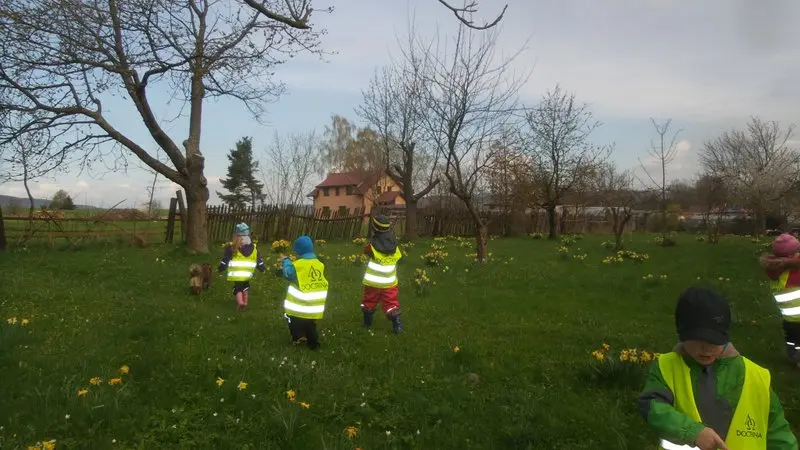 Jarní výlet oranžových