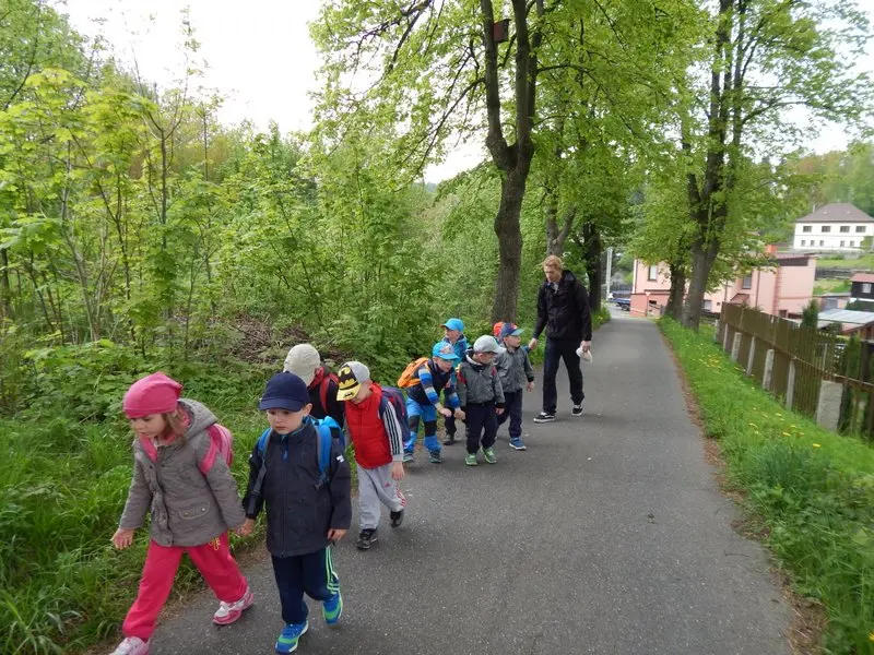 Projekt Řemesla - dřevo a co z něho