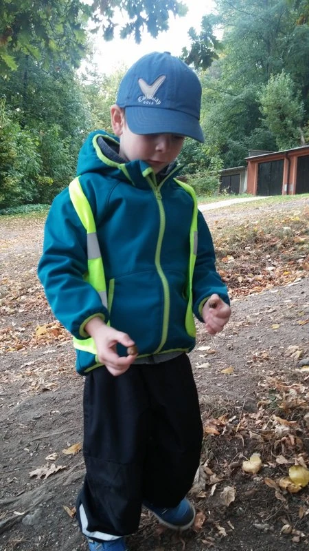 Jdeme na žaludy