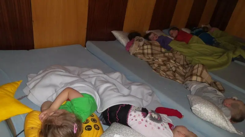 Projekt Řemesla - dřevo a co z něho