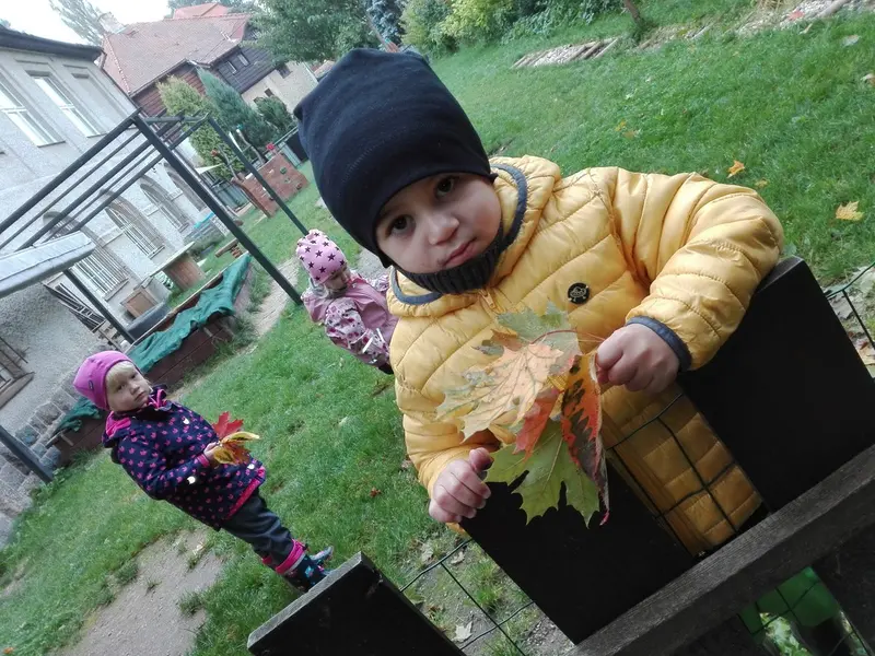 Žluťásci v září