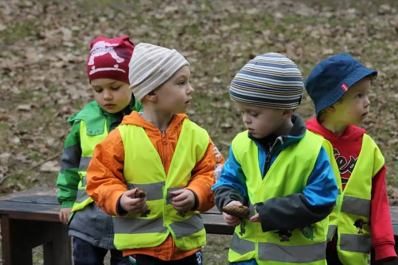 Malý výlet do lesa
