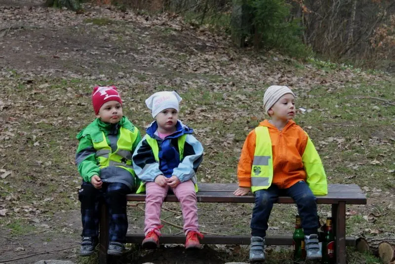 Malý výlet do lesa