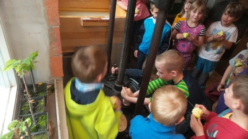 Projekt Řemesla - papír - Včelky