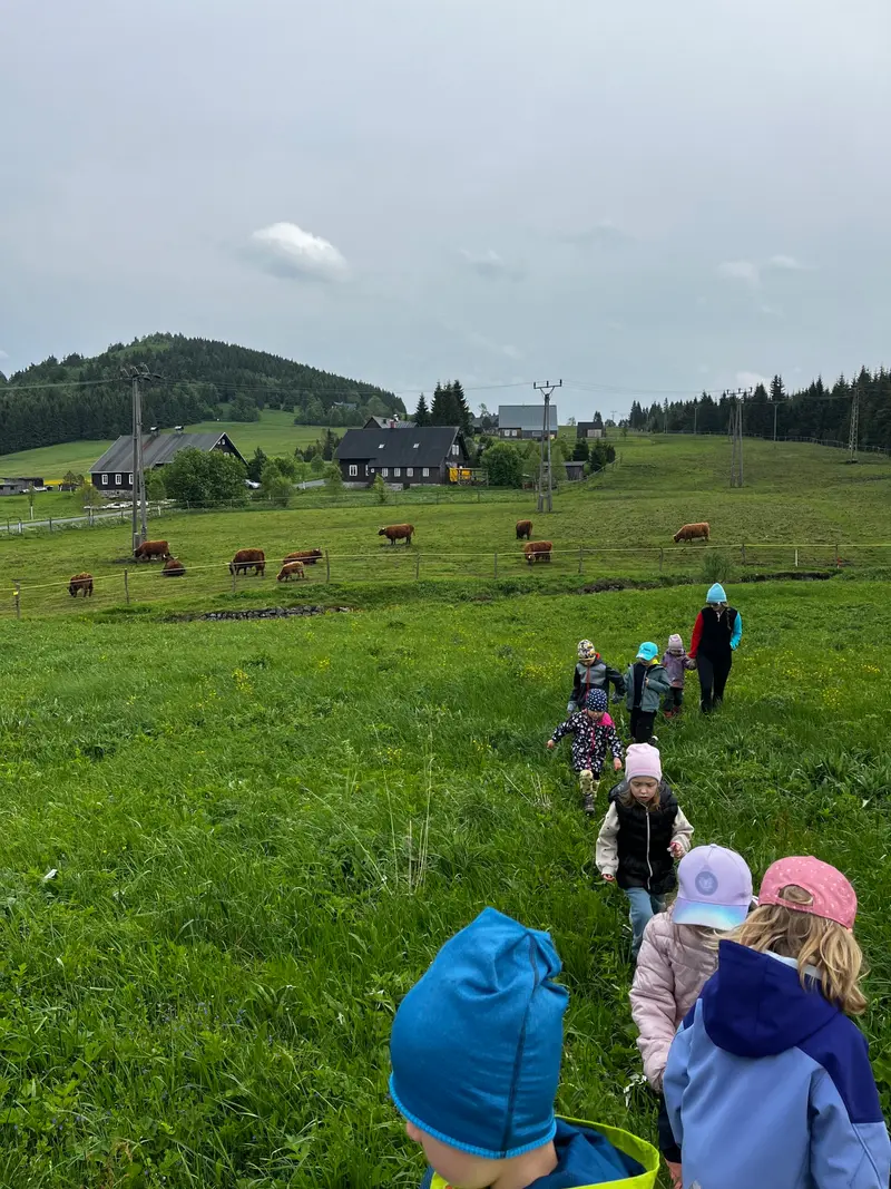 Školka v přírodě 2025