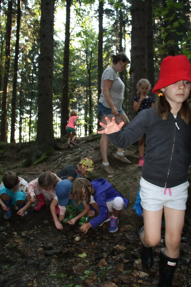 V lese