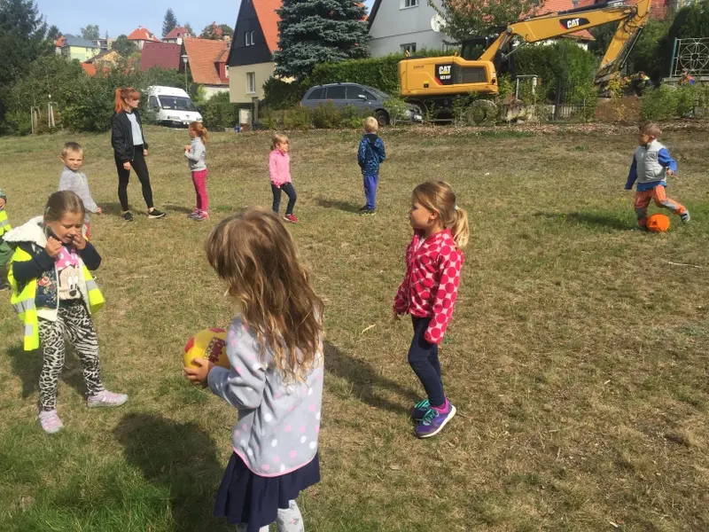 Co dělají červeňáci v září?