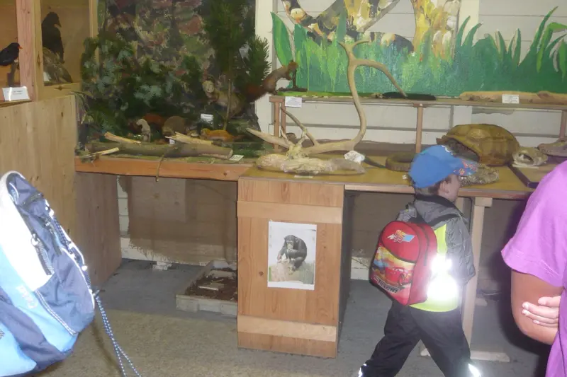 Výlet do ZOO