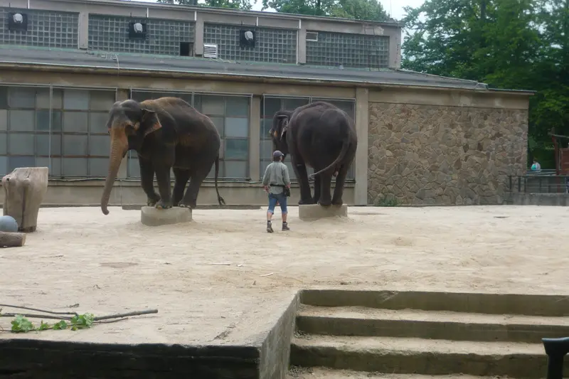 Výlet do ZOO