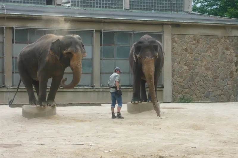 Výlet do ZOO