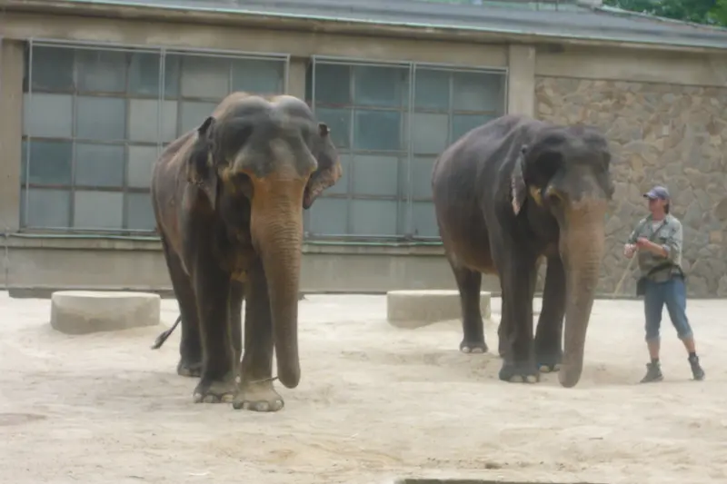 Výlet do ZOO