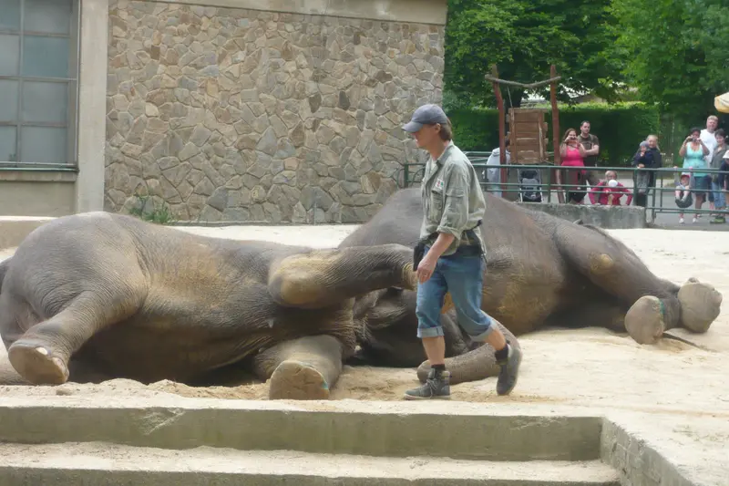 Výlet do ZOO
