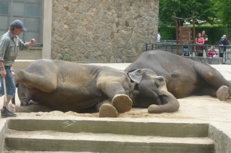 Výlet do ZOO