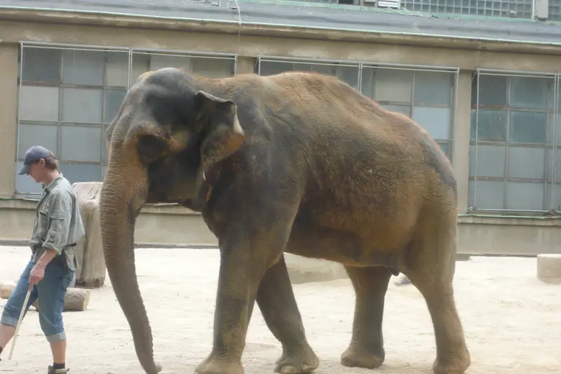 Výlet do ZOO