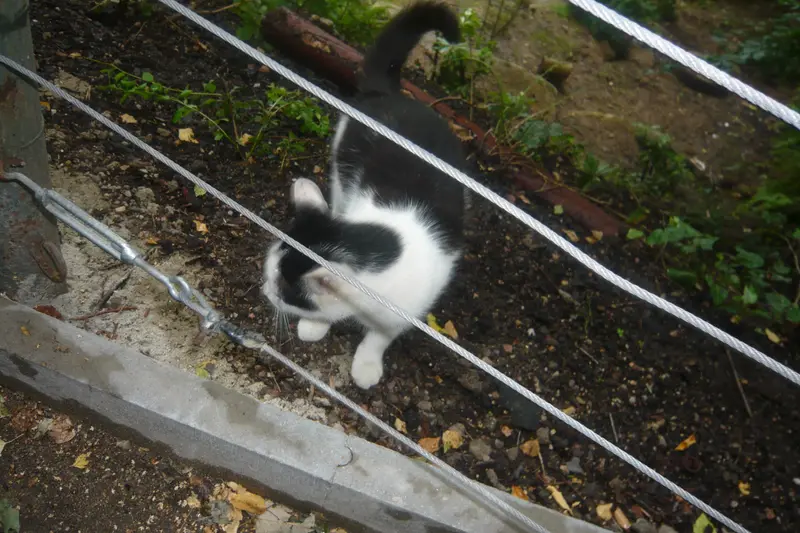 Výlet do ZOO