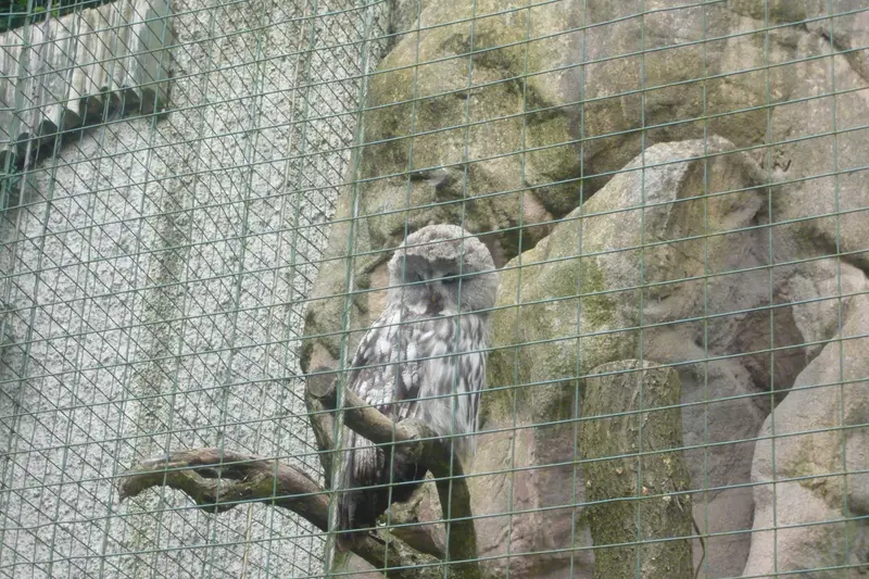 Výlet do ZOO