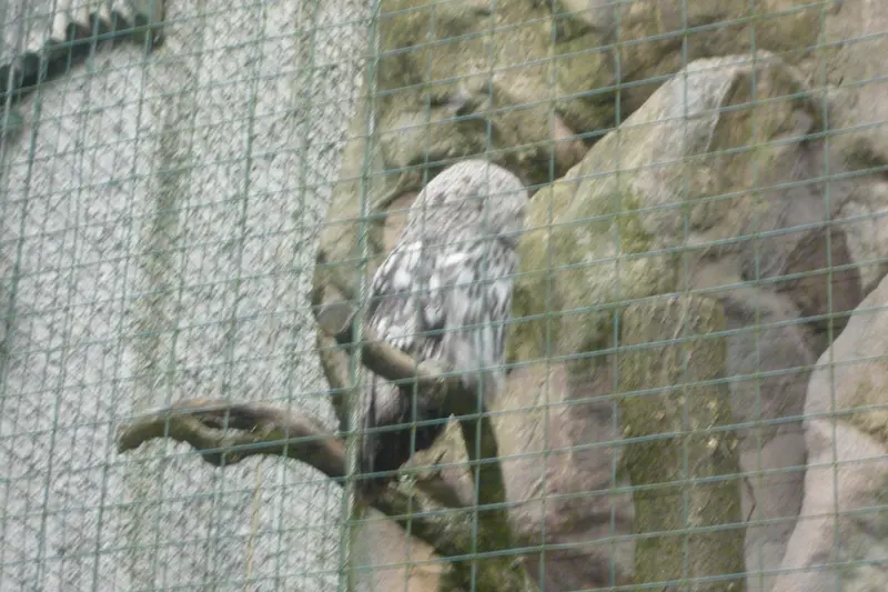 Výlet do ZOO