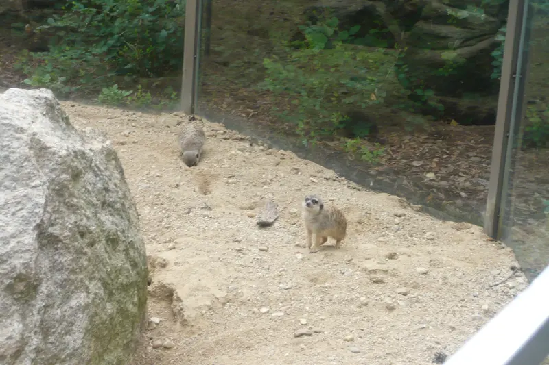 Výlet do ZOO