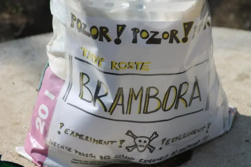 brambora1
